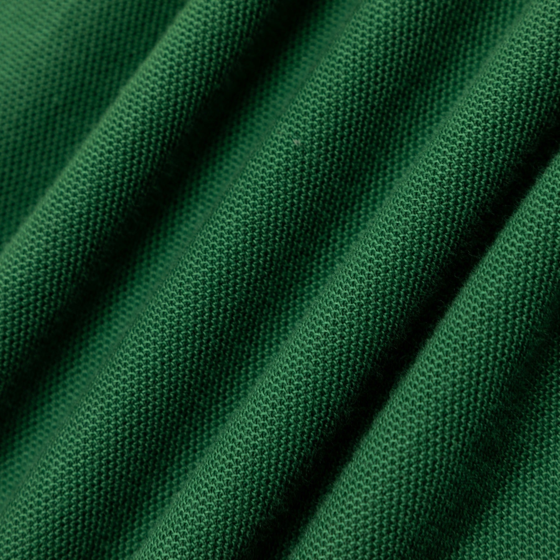 PANTHER RUGBY by GOLF WANG